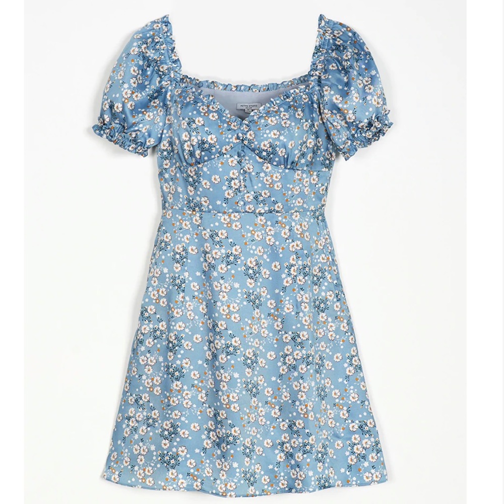 Petite Studio NYC Maisy Dress in Blue Floral